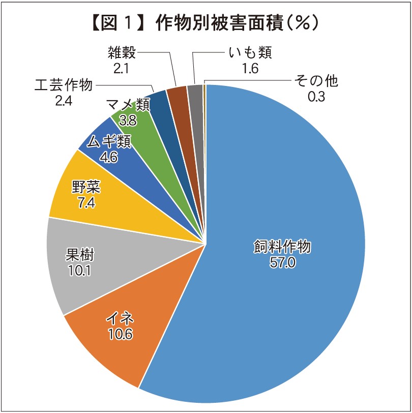 1月10日号記事7_図1