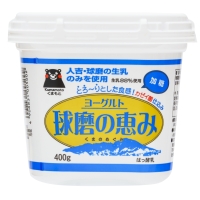 球磨の恵みヨーグルト